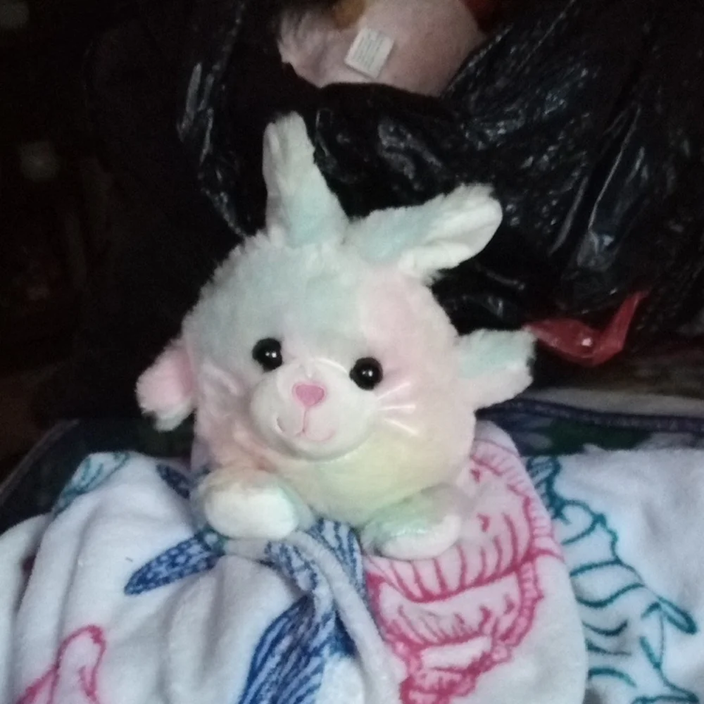 Plush Bunny Toy for Small Pets - Pastel